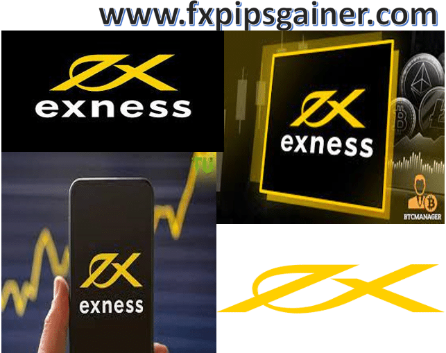 Understanding the Exness Owner The Key Figures Behind the Success